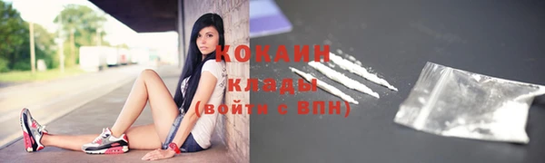 соль ск Михайлов