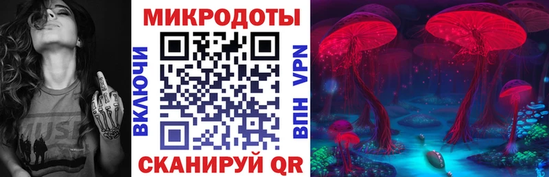 Купить  Георгиевск  Псилоцибиновые грибы GOLDEN TEACHER 